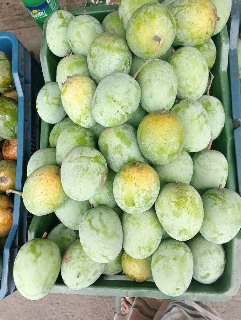 Langra ল্যাংড়া