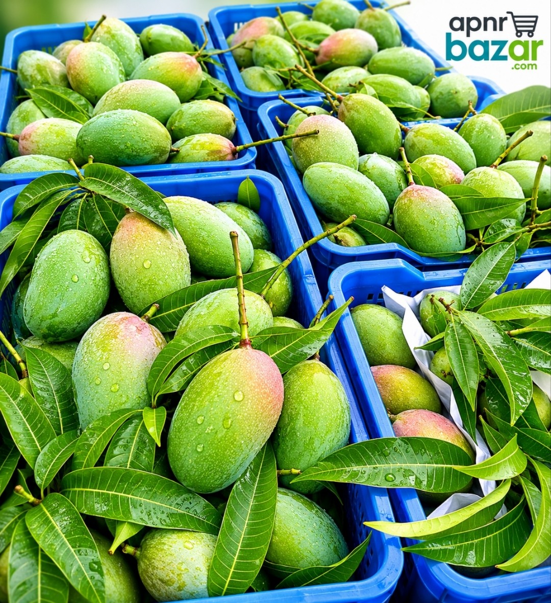 Nak Fozli নাক ফজলি আম