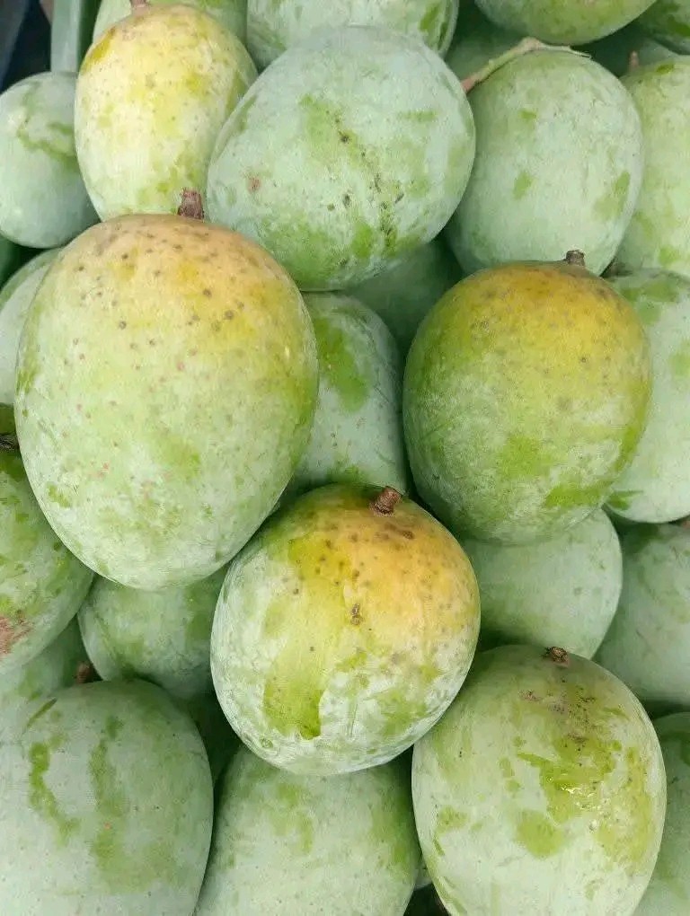 Langra ল্যাংড়া